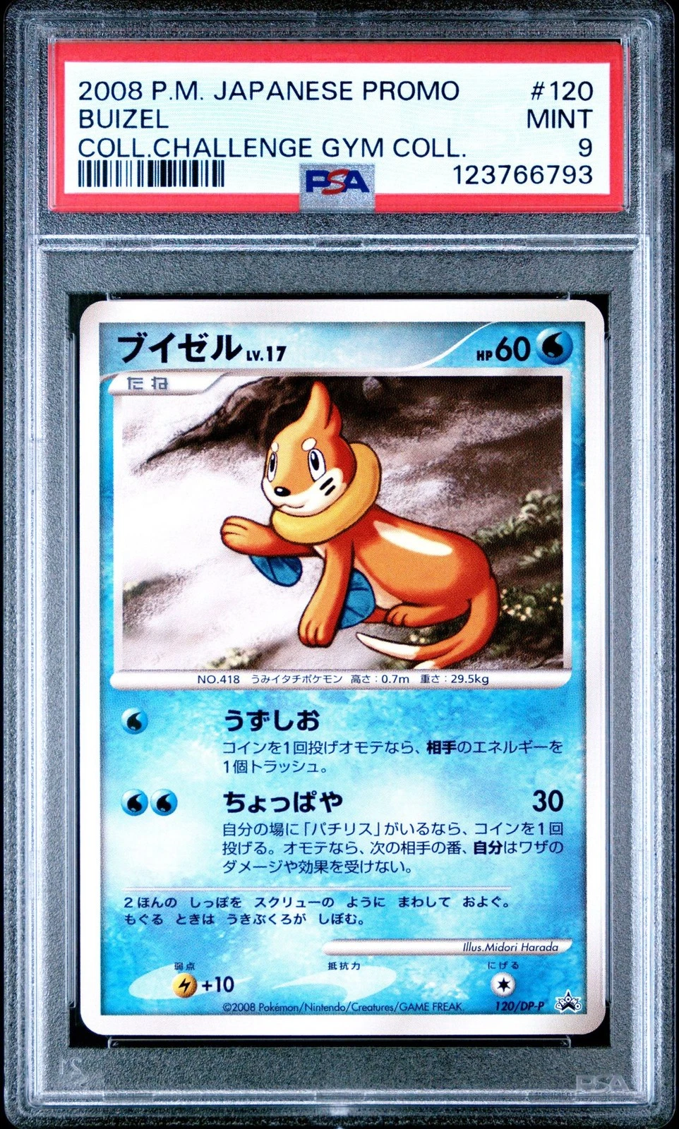Buizel – Promo – Collection Challenge – 120/DP-P – PSA 9